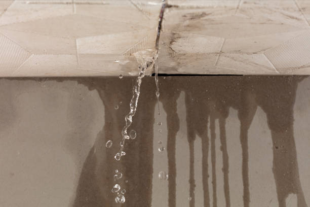 Professional Structural Drying technician working in Put In Bay, OH